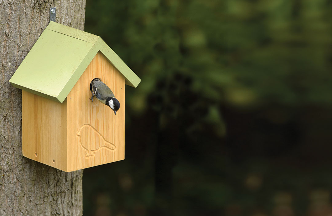 RSPB Silhouette nest box