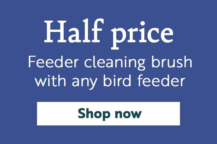 Half price feeder cleaning brush with any bird feeder. Shop now