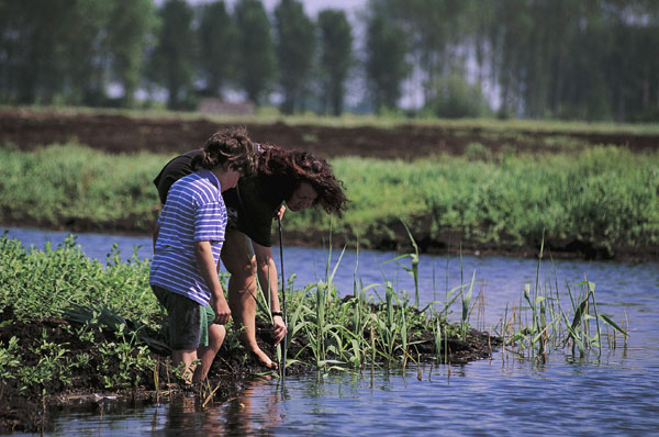 Lakenheath Fen