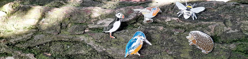 RSPB pin badges