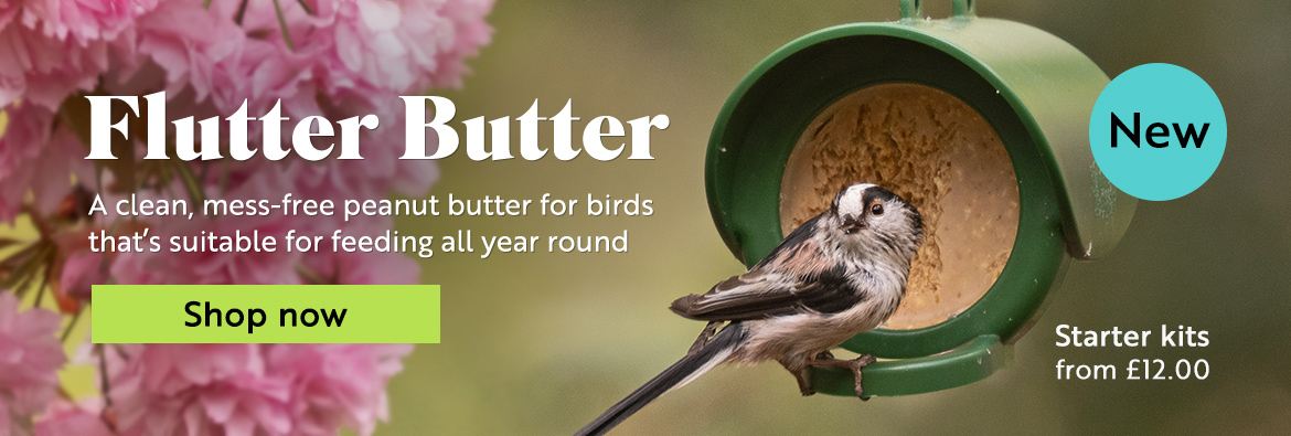 New Flutter Butter. A clean, mess-free peanut butter for birds that's suitable for feeding all year round. Starter kits from £12.00. Shop now.