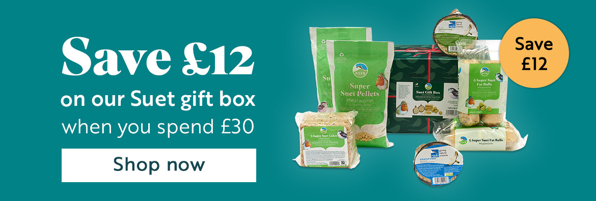 Save £12 on our Suet gift box when you spend £30. Shop now!