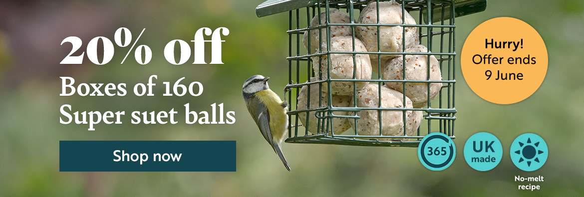 20% off Boxes of 160 Super suet fat balls. Hurry! Offer ends 9th June. Shop now!
