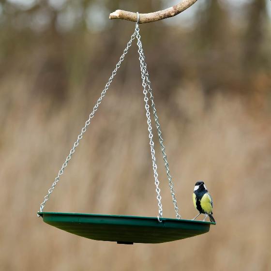 Anywhere bird bath product photo default L