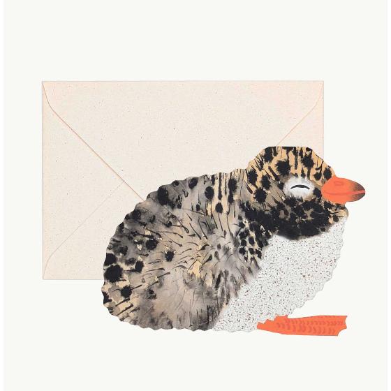 Hadley Paper Goods Arctic Tern chick greeting card product photo default L