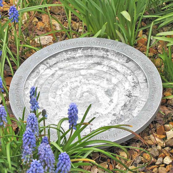 Aristotle Oasis bird bath & drinker product photo default L