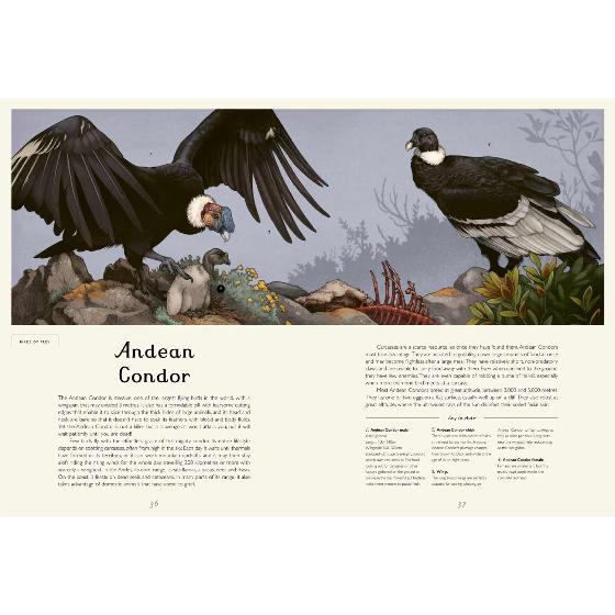 Aviarium by Dominic Couzens product photo front L