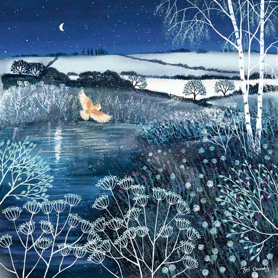 Barn Owl over moonlit pool Christmas cards, pack of 10 product photo default L