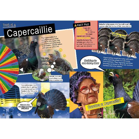 RSPB Bird of the week product photo side L