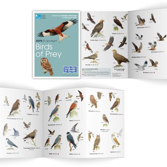 Birds of prey identifier chart - RSPB ID Spotlight series product photo side L