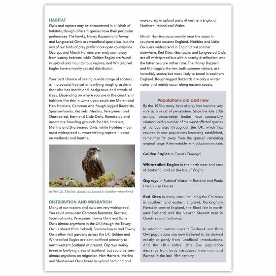 Birds of prey identifier chart - RSPB ID Spotlight series product photo front L