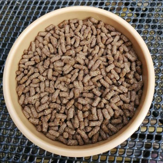 Brambles Hedgehog food semi-moist 1.3kg product photo side L