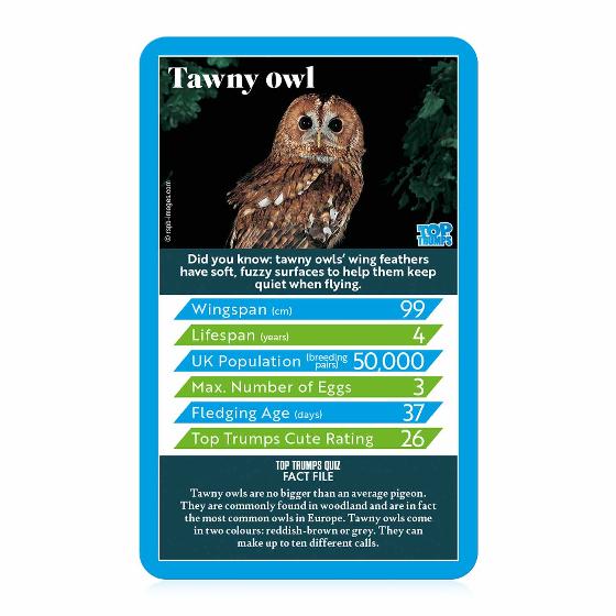 RSPB British birds Top Trumps card game product photo ai5 L