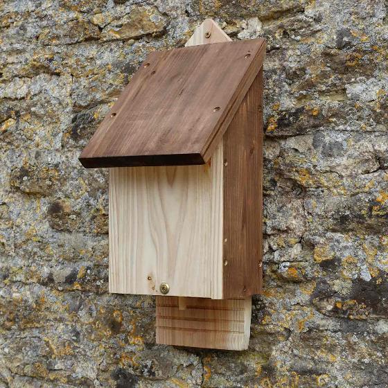 RSPB single chamber bat box product photo back L