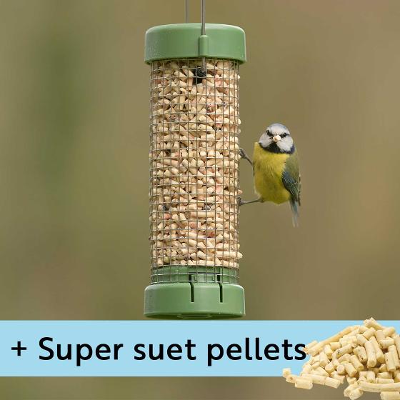 RSPB Classic easy-clean® small suet pellet and peanut feeder with 1kg Super suet pellets - mealworm product photo default L