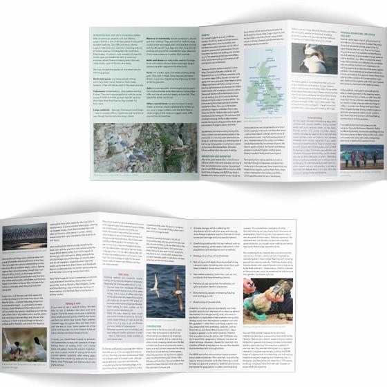 Coastal birds identifier chart - RSPB ID Spotlight series product photo back L