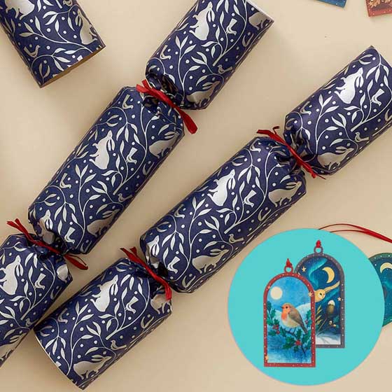 RSPB Wooden decoration plastic-free Christmas crackers, box of six product photo default L