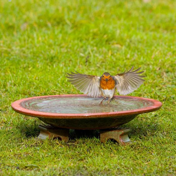 Echoes ceramic bird bath product photo back L