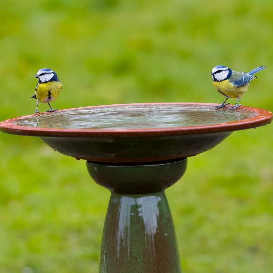 Echoes ceramic bird bath & stand product photo ai5 L