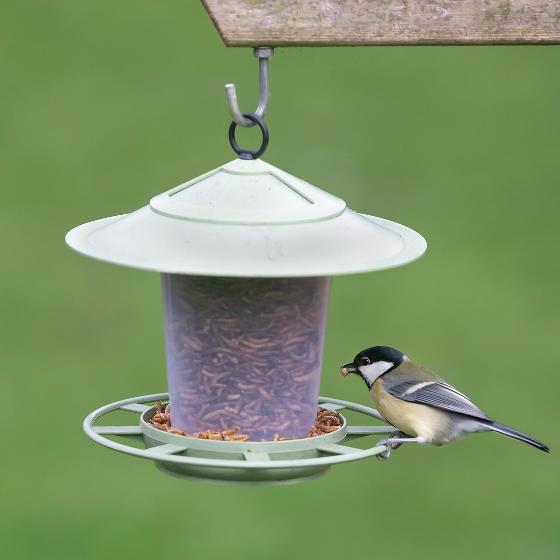 Eco beacon feeder with mealworms product photo side L