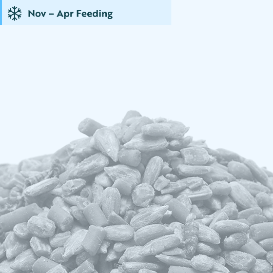 Favourites blend bird food 5.5kg product photo default L
