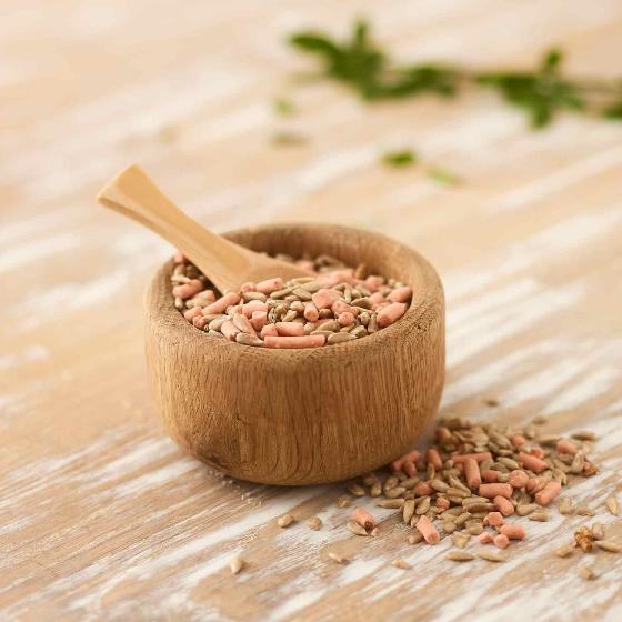 Favourites blend extra bird food 12.75kg product photo ai4 L