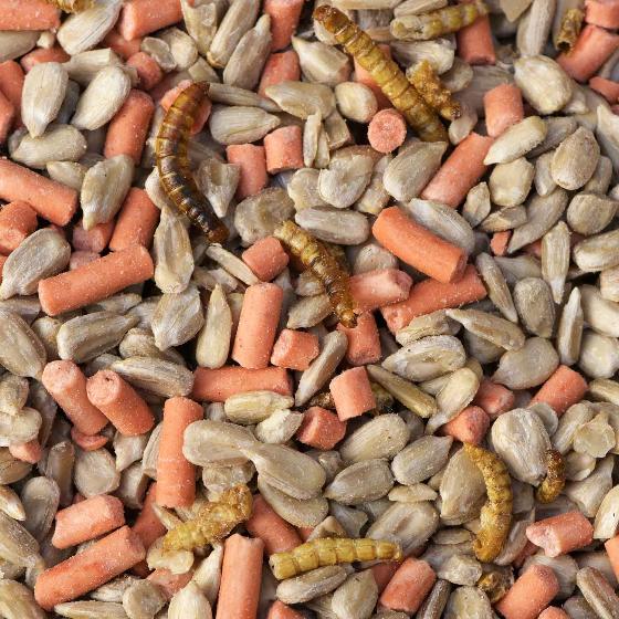 Favourites blend extra bird food 12.75kg product photo side L