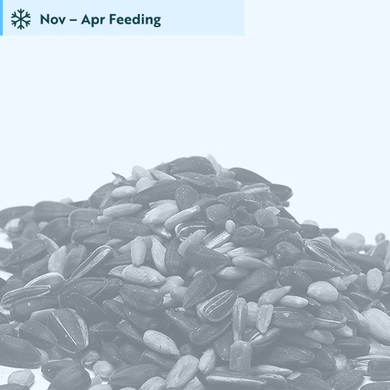 Feeder mix extra bird food 5.5kg product photo default L