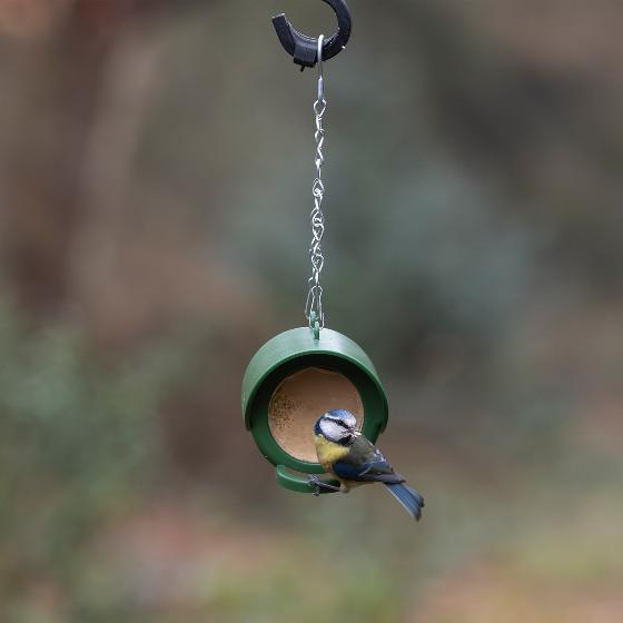 Flutter Butter hanging feeder product photo back L