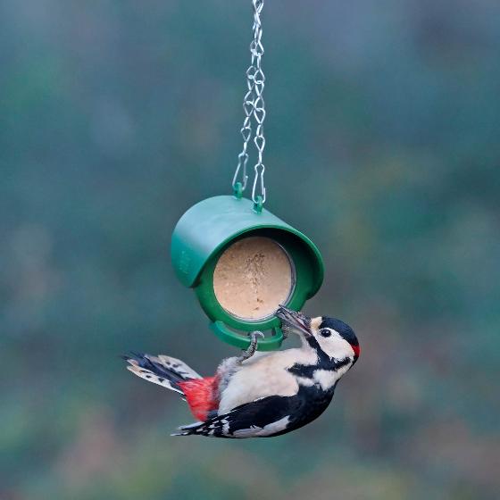 Flutter Butter original starter kit product photo back L