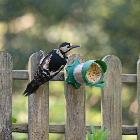 Flutter Butter® wall & window feeder product photo back L
