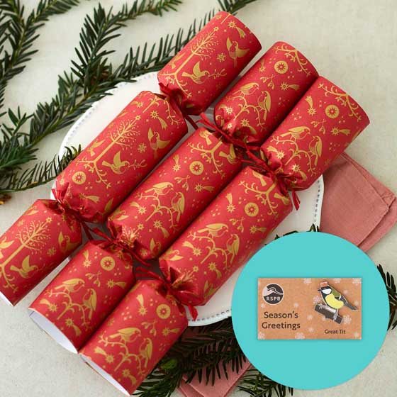 RSPB Pin badge plastic-free Christmas crackers, box of six product photo default L