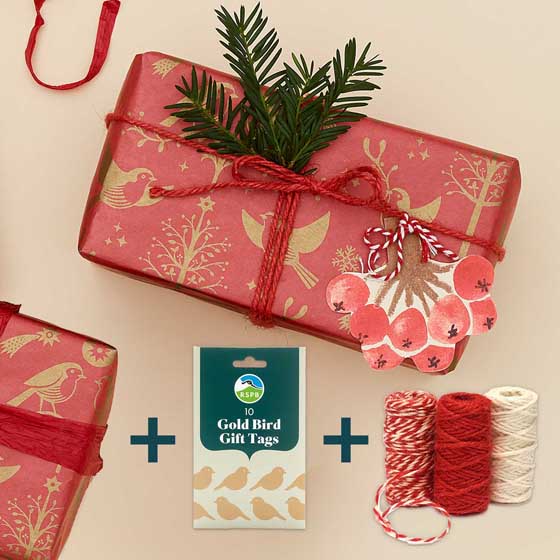 Folksy Robin wrapping paper bundle product photo default L