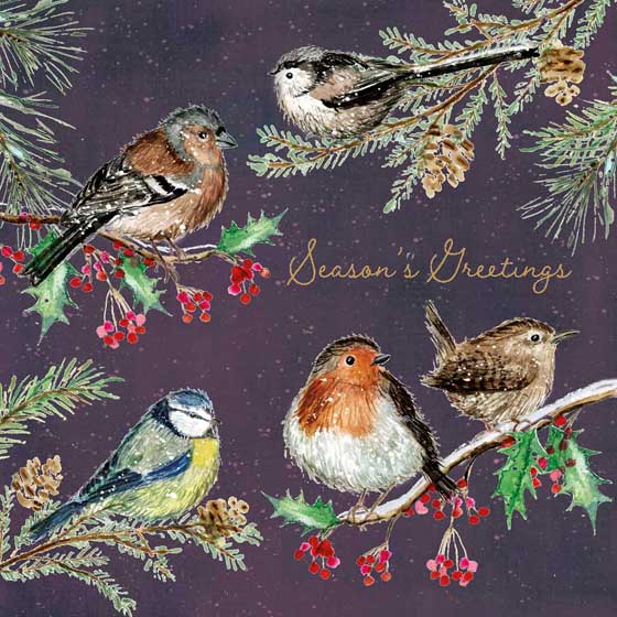 Garden bird Christmas cards, pack of 10 product photo default L