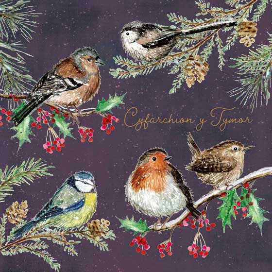Garden bird Welsh Christmas cards, pack of 10 product photo default L