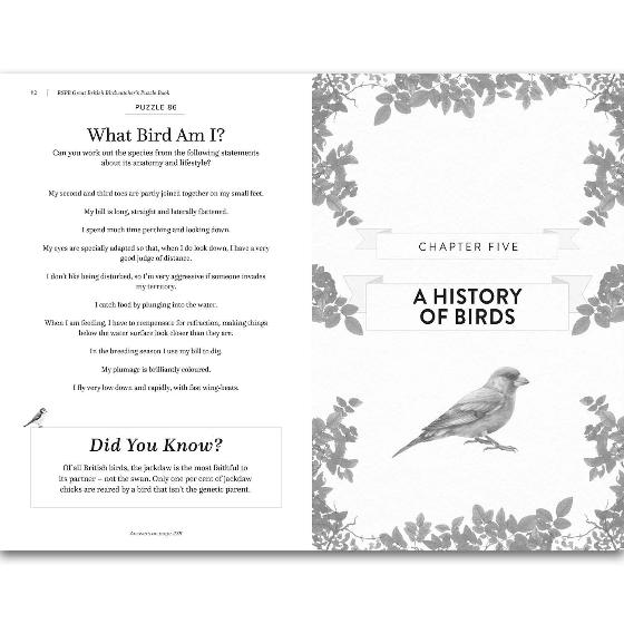RSPB Great British birdwatcher's puzzle book product photo front L