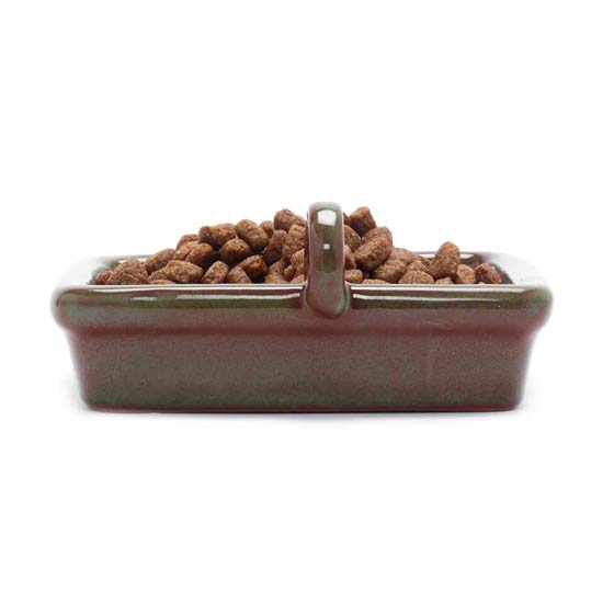 Hedgehog feeding station starter kit product photo front L