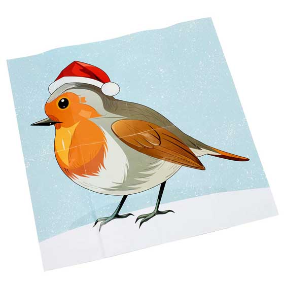 RSPB 'Pin the beak' game plastic-free Christmas crackers, box of six product photo front L