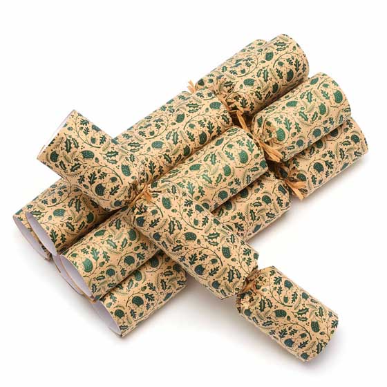 RSPB 'Pin the beak' game plastic-free Christmas crackers, box of six product photo ai5 L