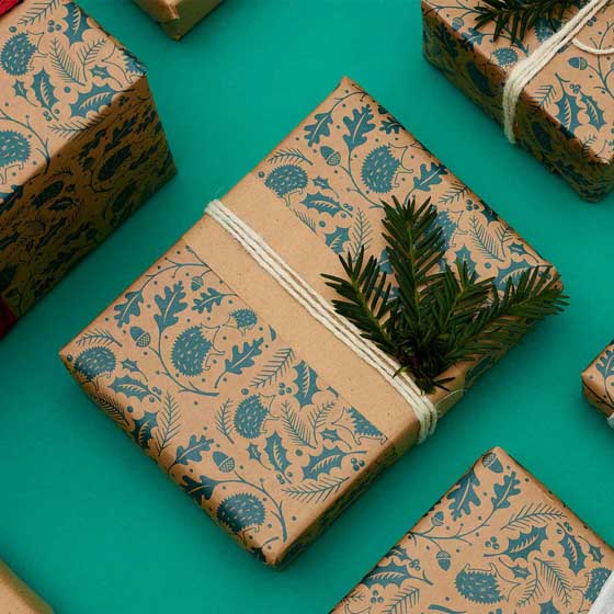Hidden Hedgehog wrapping paper, 10 metres product photo default L