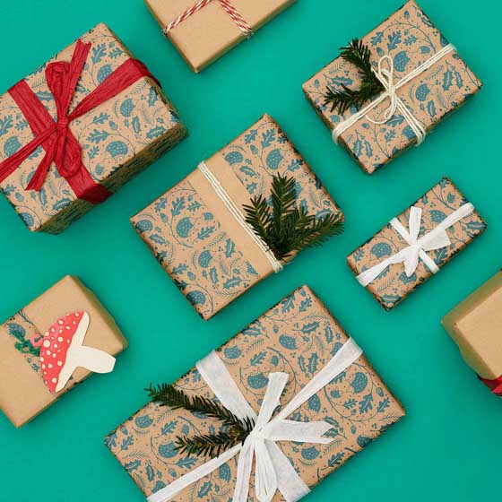 Hidden Hedgehog wrapping paper, 10 metres product photo ai5 L