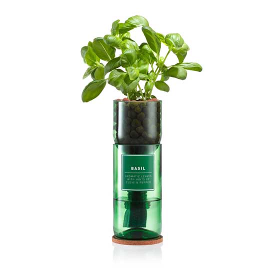 Basil Hydro-herb kit product photo default L
