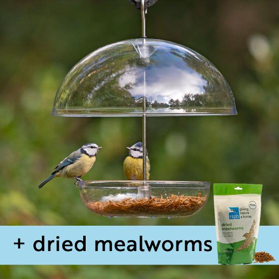 I love Robins® large dome feeder & dried mealworms product photo default L