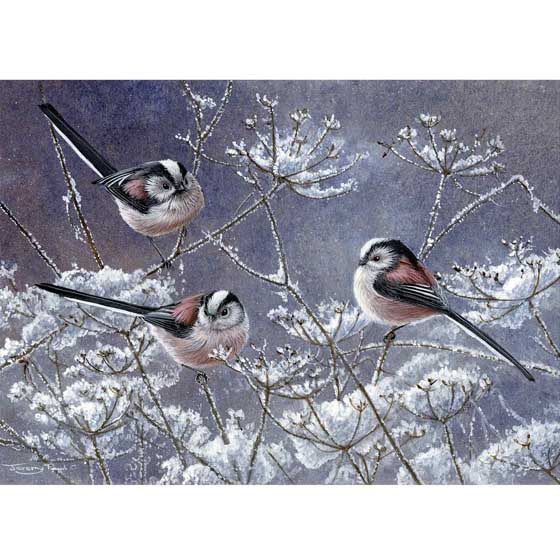 Long-tailed tidings Christmas cards, pack of 10 product photo default L