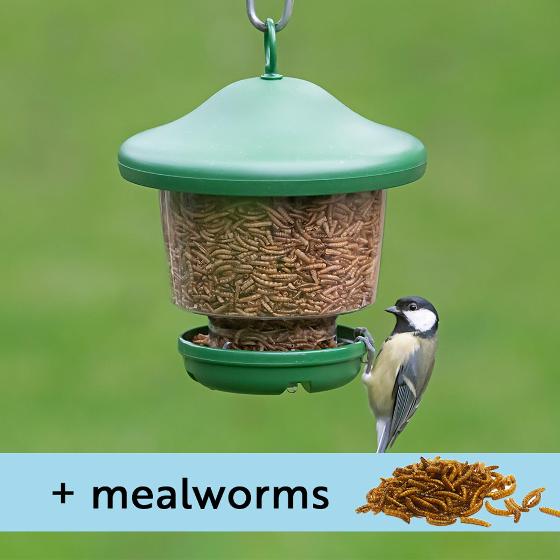 My favourites hanging bird feeder with mealworms product photo default L