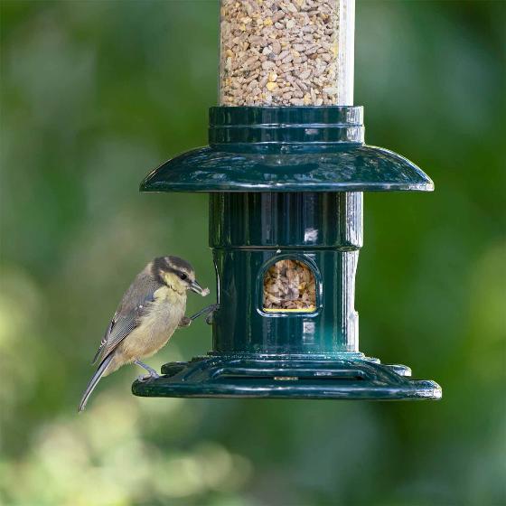 No-mess sunflower mix bird seed 5.5kg product photo ai5 L