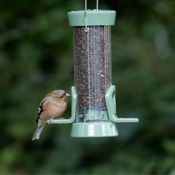 Nyjer seed 5.5kg product photo side L