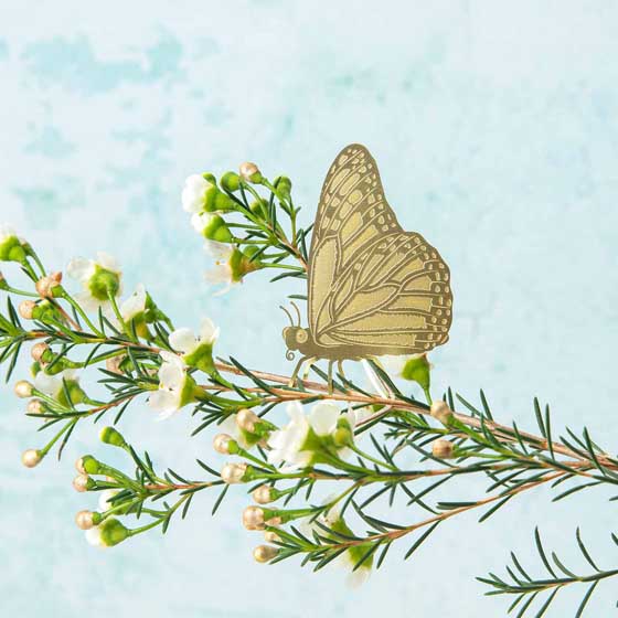 Butterfly plant animal decoration product photo default L