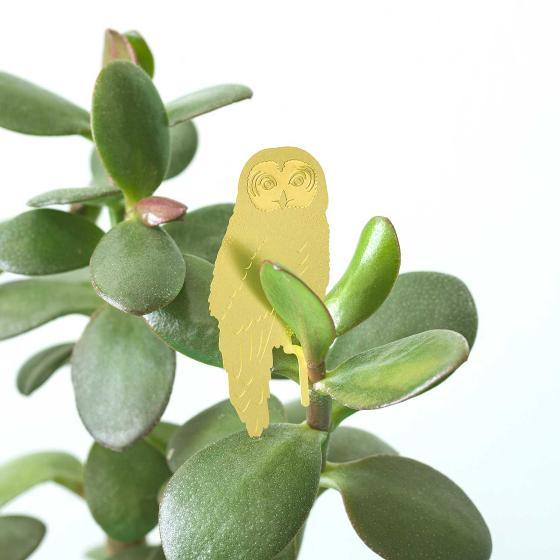 Owl plant animal decoration product photo default L