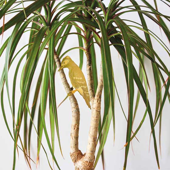 Woodpecker plant animal decoration product photo side L